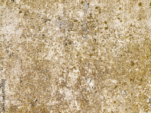Concrete with moss texture macro.