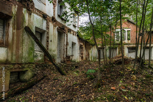 interior of an abandoned house. Trees growing inside, windows an © CrispyMedia