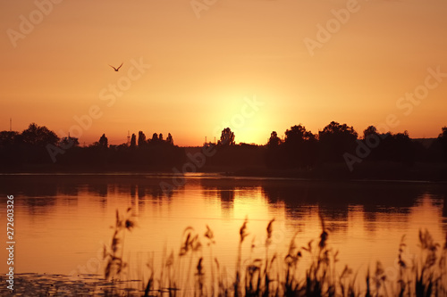 Sunset river landscape. Orange sunlight reflected on the river surface. Artistic natural image.