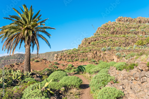 Landscape with hiking trail in the hill country of the island of La Gomera. On the way down from El Cercado through the Argaga ravine direction Valle Gran Rey photo