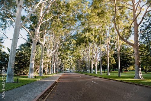 Picturesque Road