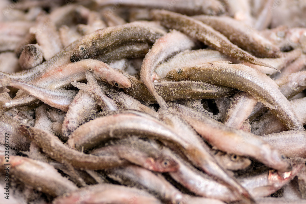 Bunch of fresh frosty smelt fish in winter. Fishing for sale in Bunch of fresh frosty smelt fish in winter. Fishing for sale in