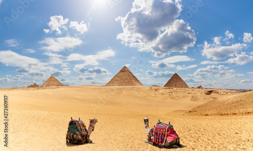 Egypt Pyramids panorama with two camels under the clouds