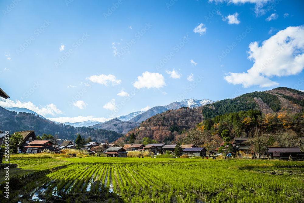 Ogimachi Village is the most popular village which has the most Gassho-zukuri houses in Shirawakago.