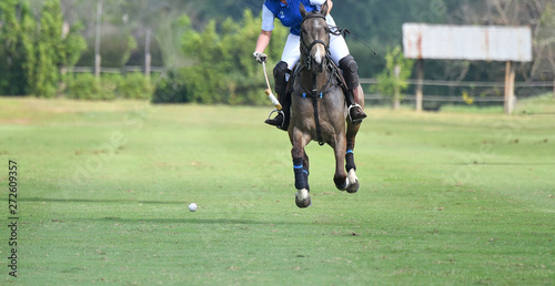 Polo Horse Player Riding To Control The Ball.