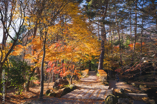 Beautiful landscapes with ponds, waterfalls and the colorful autumn trees at the Kubota Itchiku Art Museum, Fujikawaguchiko, Japan.