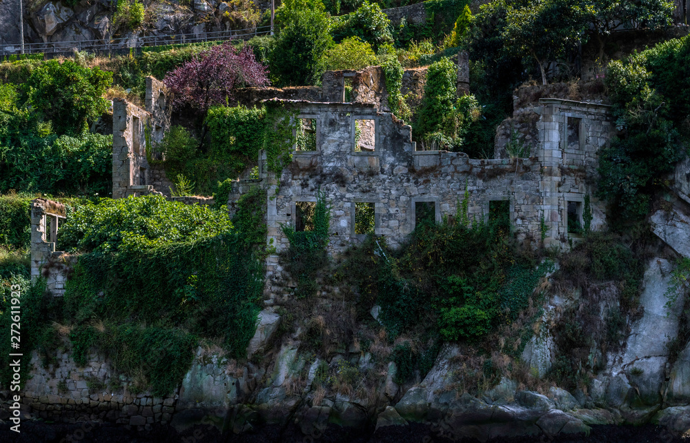 Old manor house ruins by the water overtaken by nature, trees an