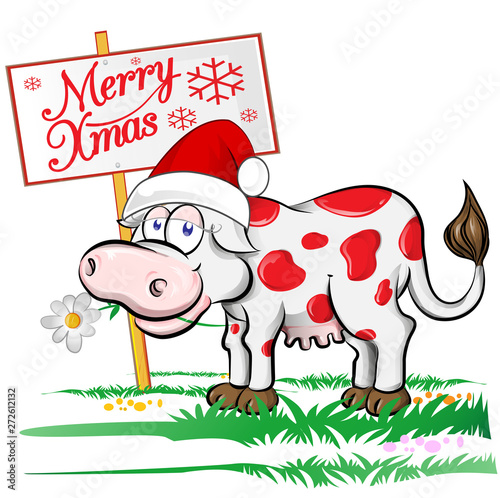 cow Santa Claus with merry christmas signboard. Isolated  illustration.
