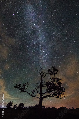 Night landscape with colorful Milky Way stars over the tree silh