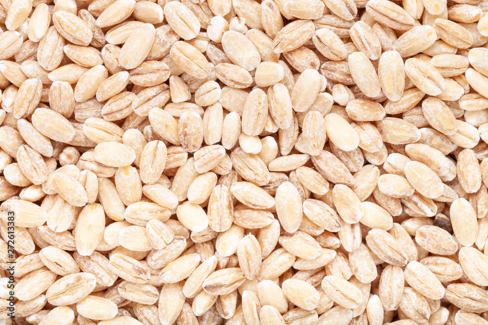 Pearl barley texture close up for background