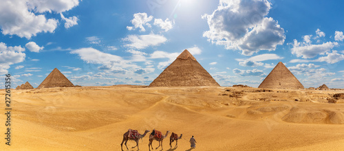 Panorama of Giza with the Pyramids, camels and a bedouin