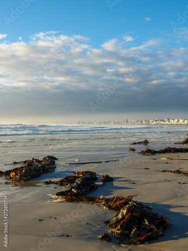 Melkbosstrand near Cape Town. Western Cape. South Africa photo