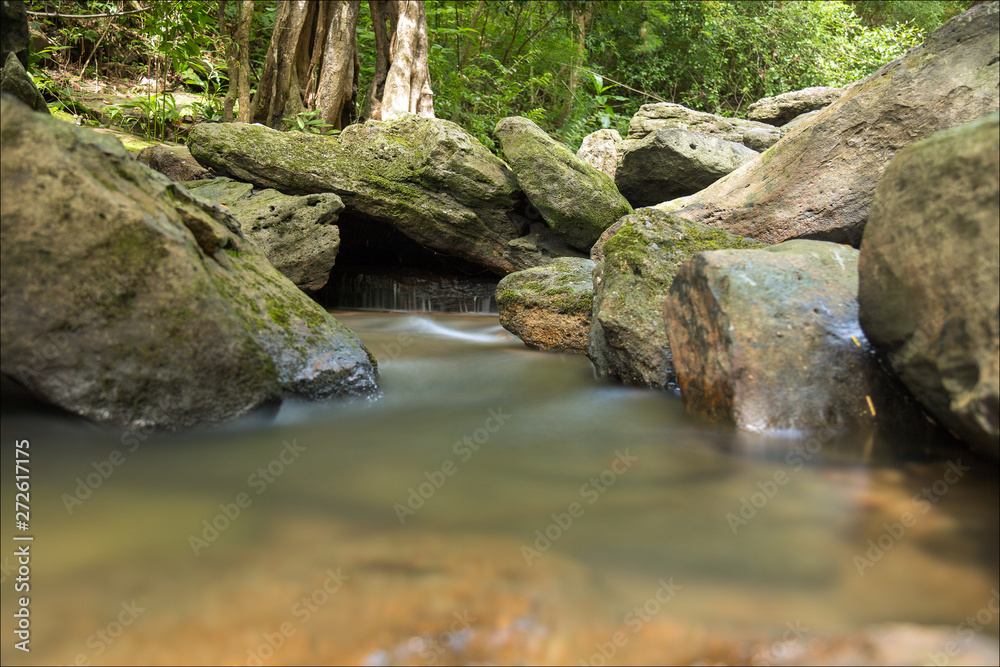 Fototapeta premium mountain stream in the forest