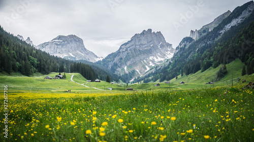 Appenzell Hiking Mountain Landscape Switzerland