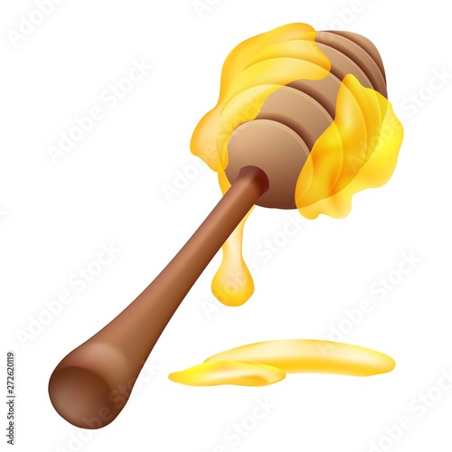 Honey wood spoon icon. Cartoon of honey wood spoon vector icon for web design isolated on white background