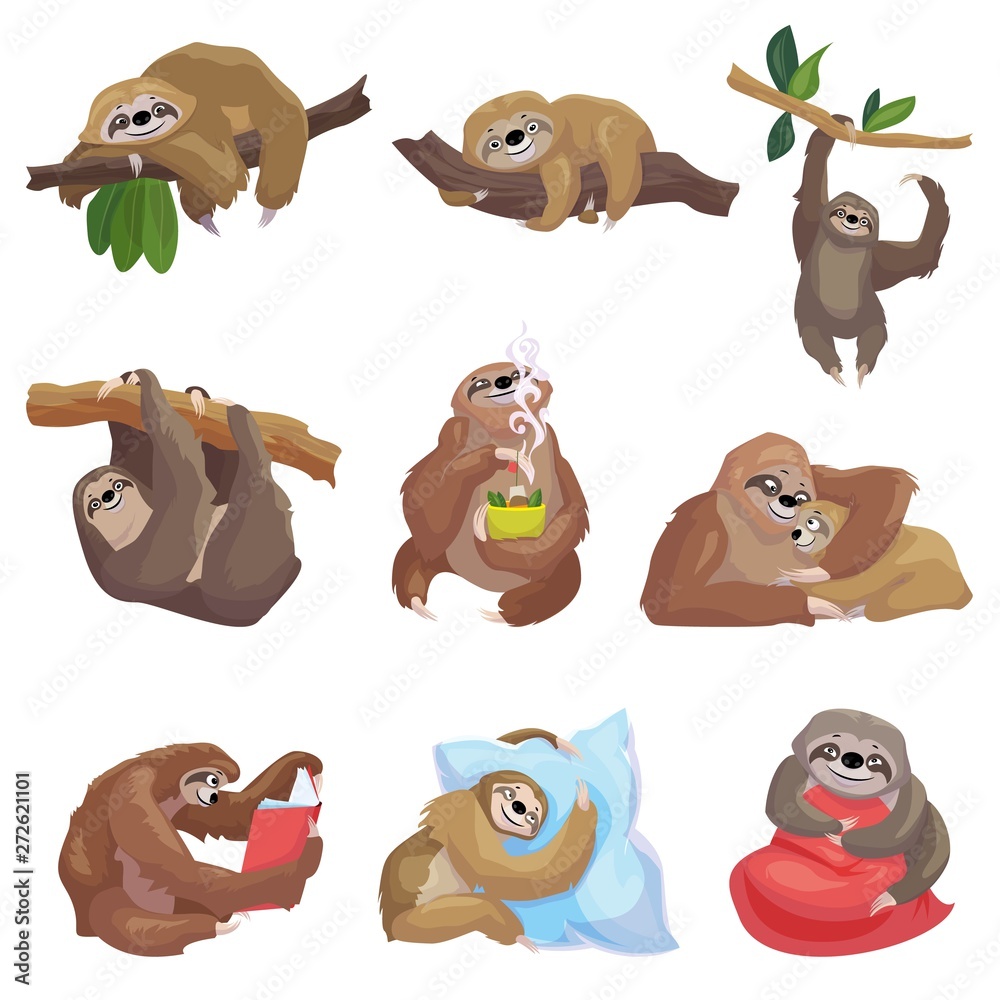 Fototapeta premium Sloth icons set. Cartoon set of sloth vector icons for web design