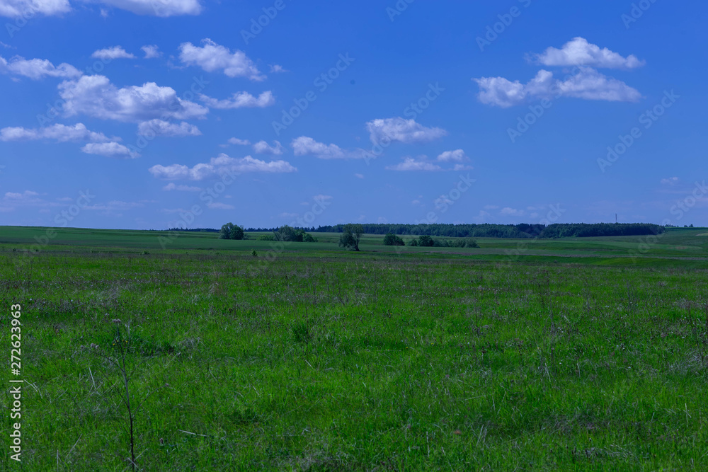 field in late spring and blue sky with white clouds
