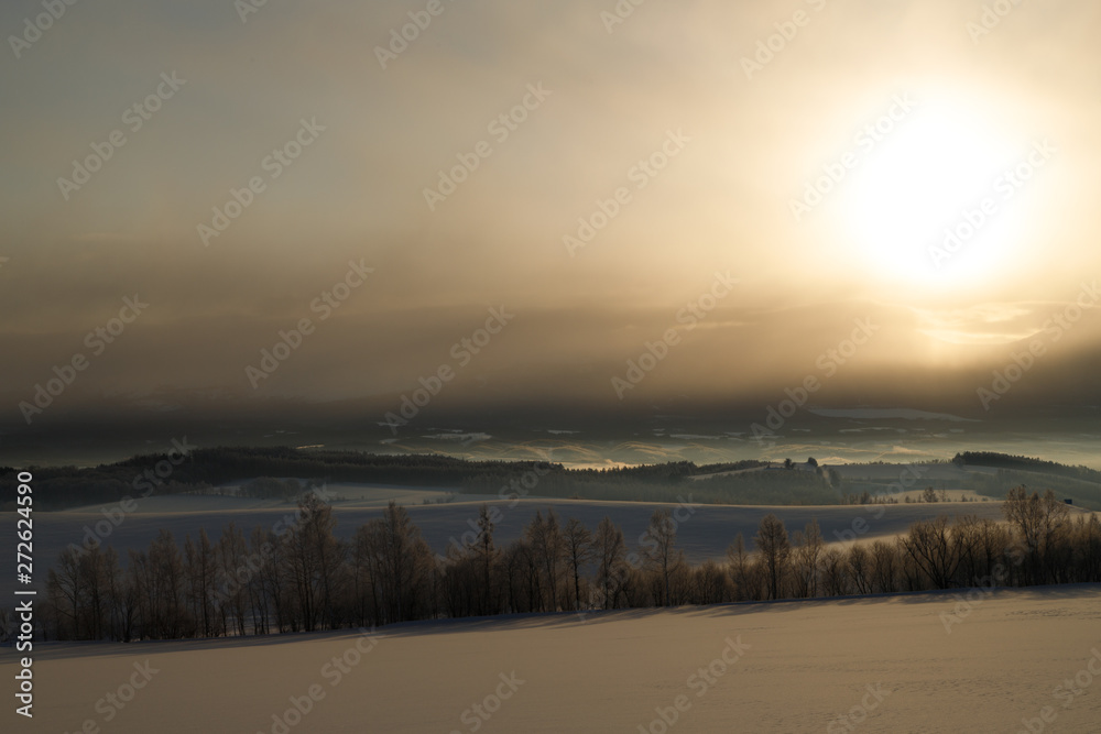 雪の丘の日の出