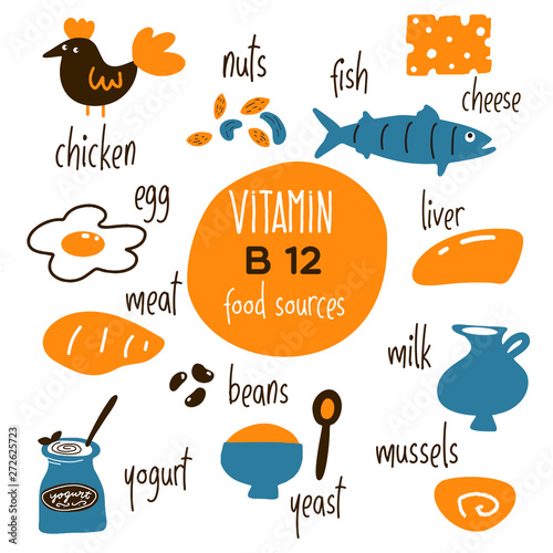 Vector cartoon illustration of Vitamin B 12 food sources.