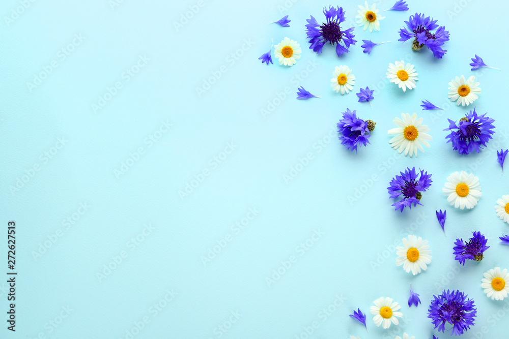 Many beautiful flowers on color background