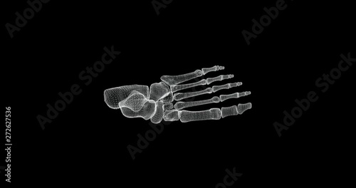 Hologram screen of structure of bones in a human foot - loop photo