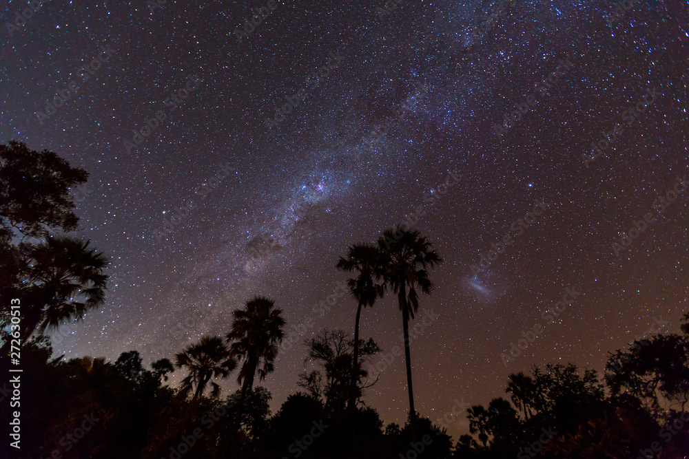 Naklejka premium Stars and Sky, Okavango Delta, Botswana, Africa