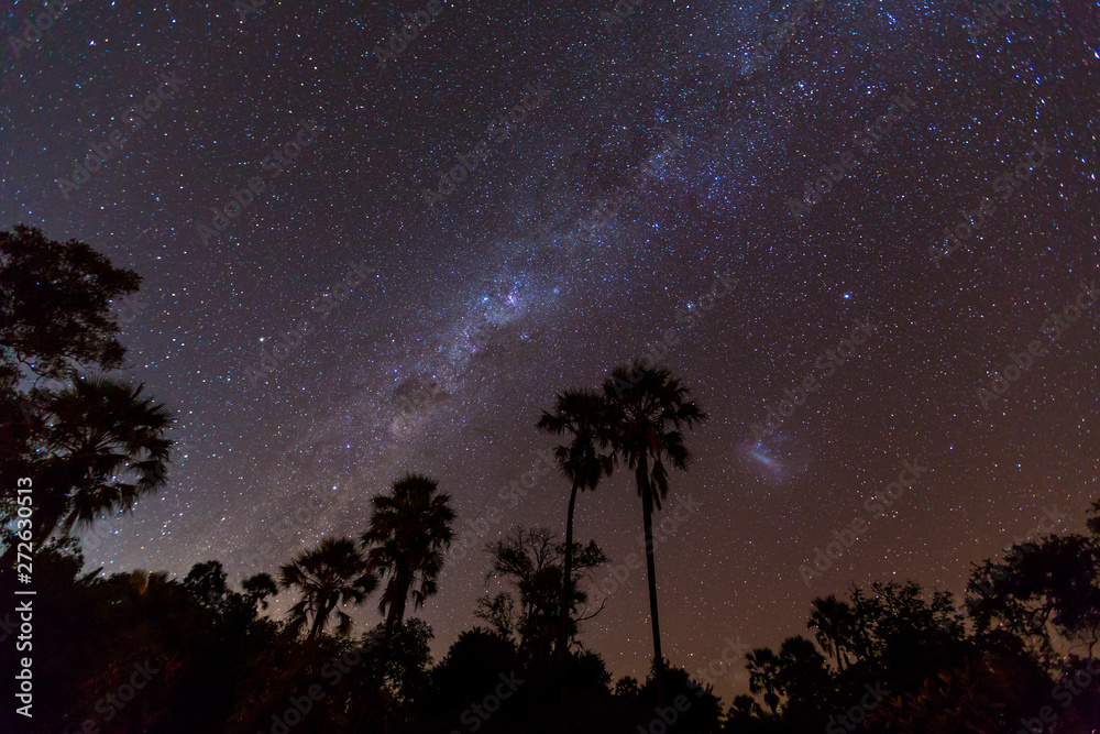 Stars and Sky, Okavango Delta, Botswana, Africa