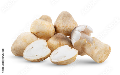 Straw mushrooms in thailand isolated on white background. full depth of field
