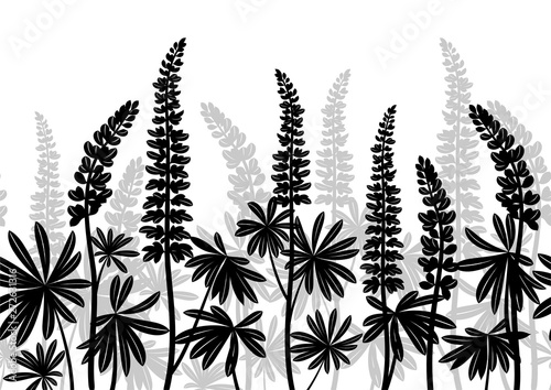 Seamless Horizontal Background of Plant Pictograms, Lupine Leaves and Flowers, Black and Grey on White. Vector