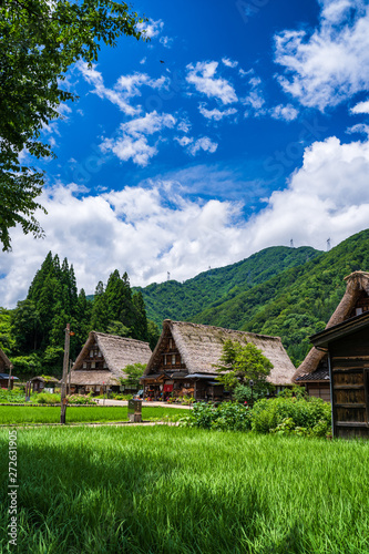 初夏の五箇山　菅沼集落