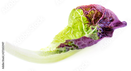 Tableau sur toile Salad leaf. Purple Lettuce leaf  isolated on white background