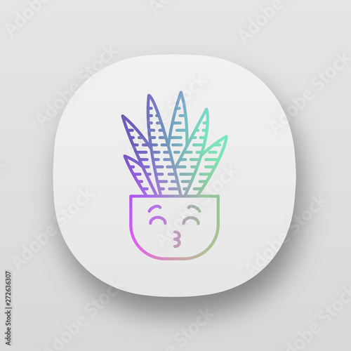 Zebra cactus app icon