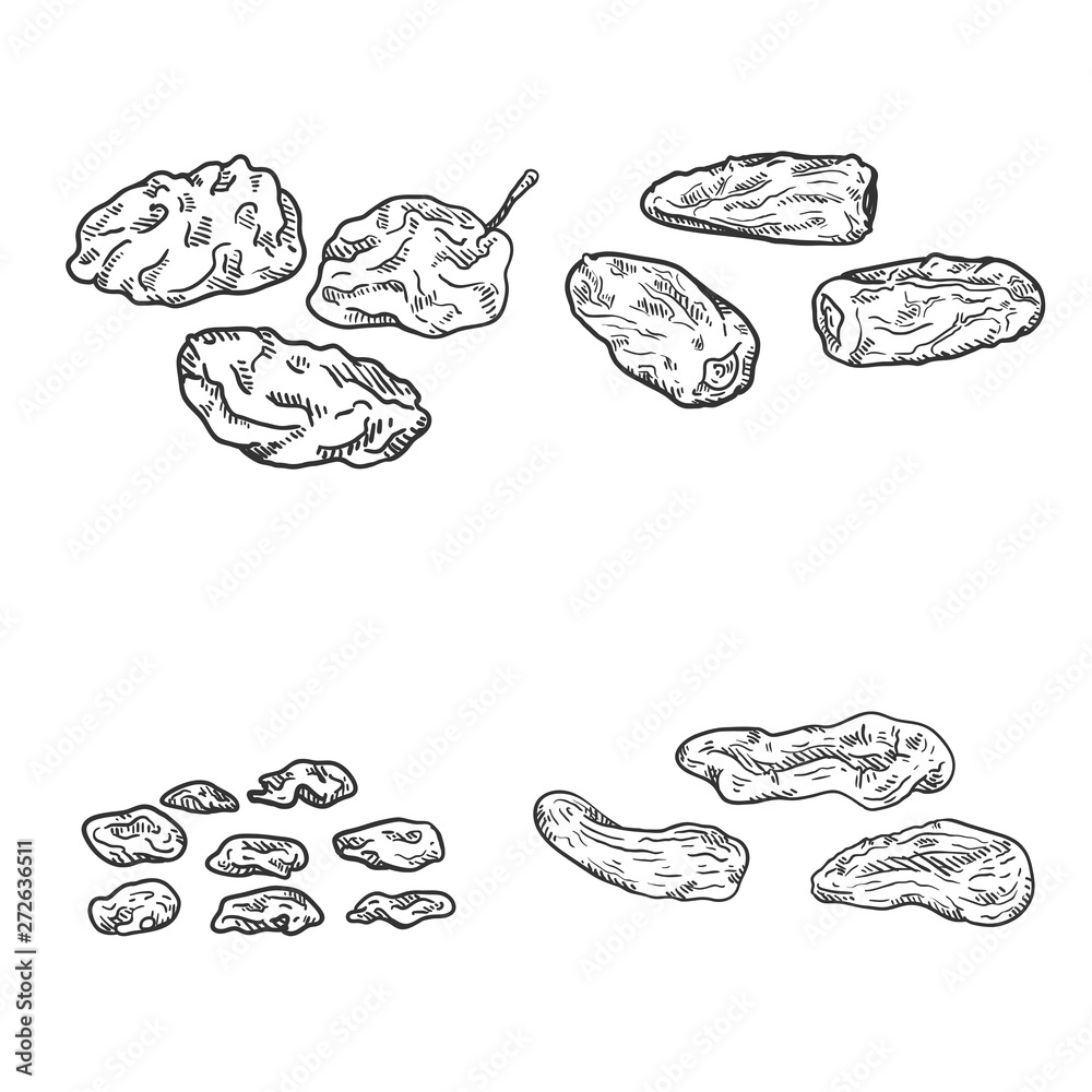 Vector Set of Sketch Dried Fruits. Vector Set of Sketch Dried Fruits.