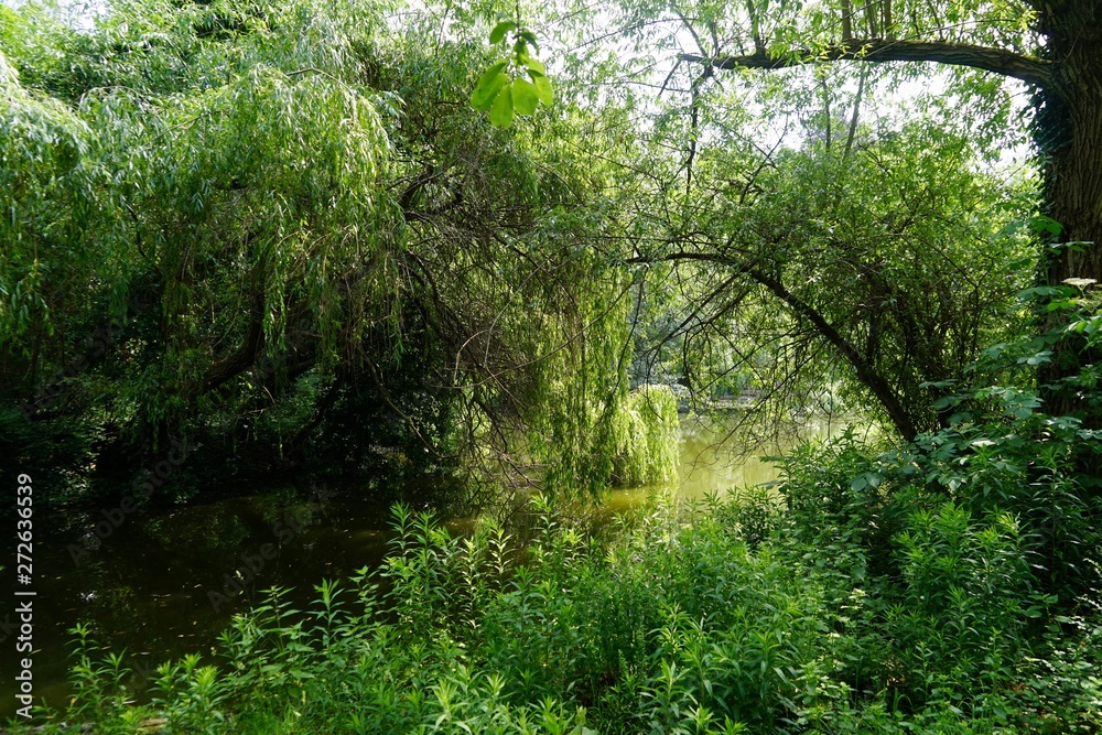 Fototapeta premium Stadtpark Steglitz