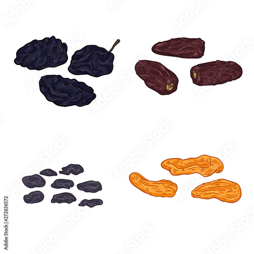 Vector Set of Cartoon Dried Fruits.