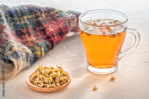 Herbal tea with pharmaceutical chamomile and a warm scarf on a white table