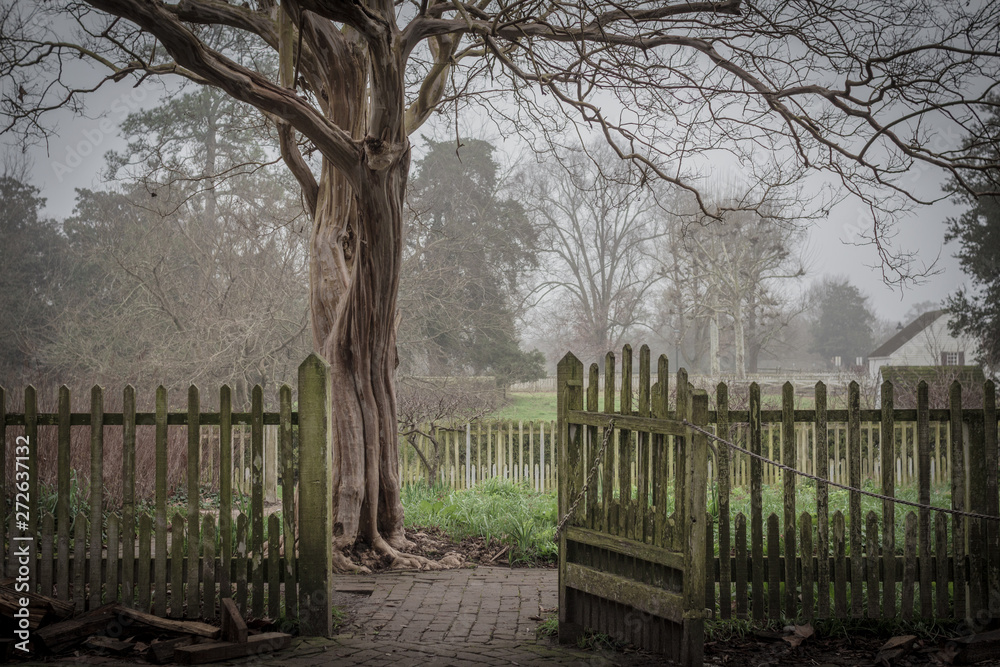 Fototapeta premium The gate to the garden