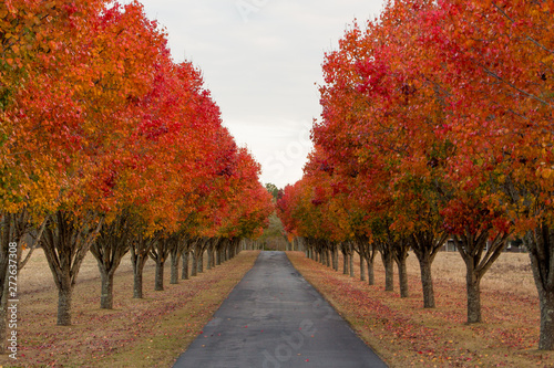 Autumn