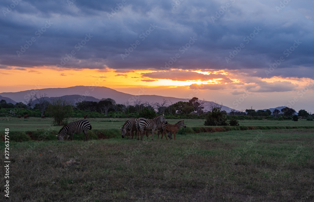 Landscape of Tsavo East National Park, Kenya Landscape of Tsavo East National Park, Kenya