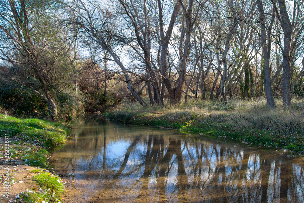 Fototapeta premium Local river in Aragon Spain landscape