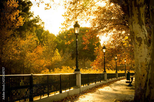 Autumn landscape of Aragon Parque Jose Antonio Labordeta photo