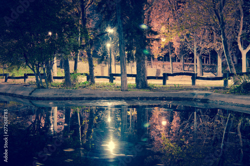 Small lake on Jose Antonio Labordeta Park in Zaragoza at night photo