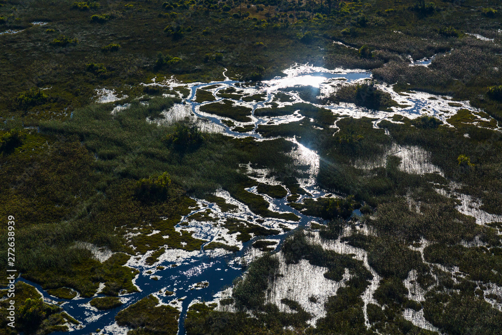 Okavango Delta, Botswana, Africa