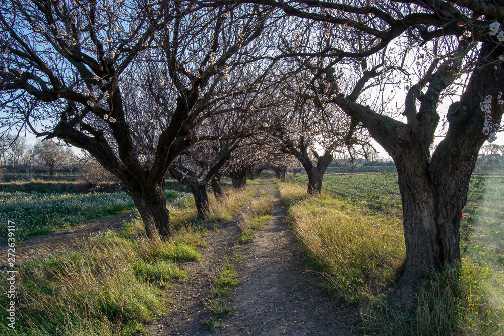 Spring scene landscape of nature Spring scene landscape of nature
