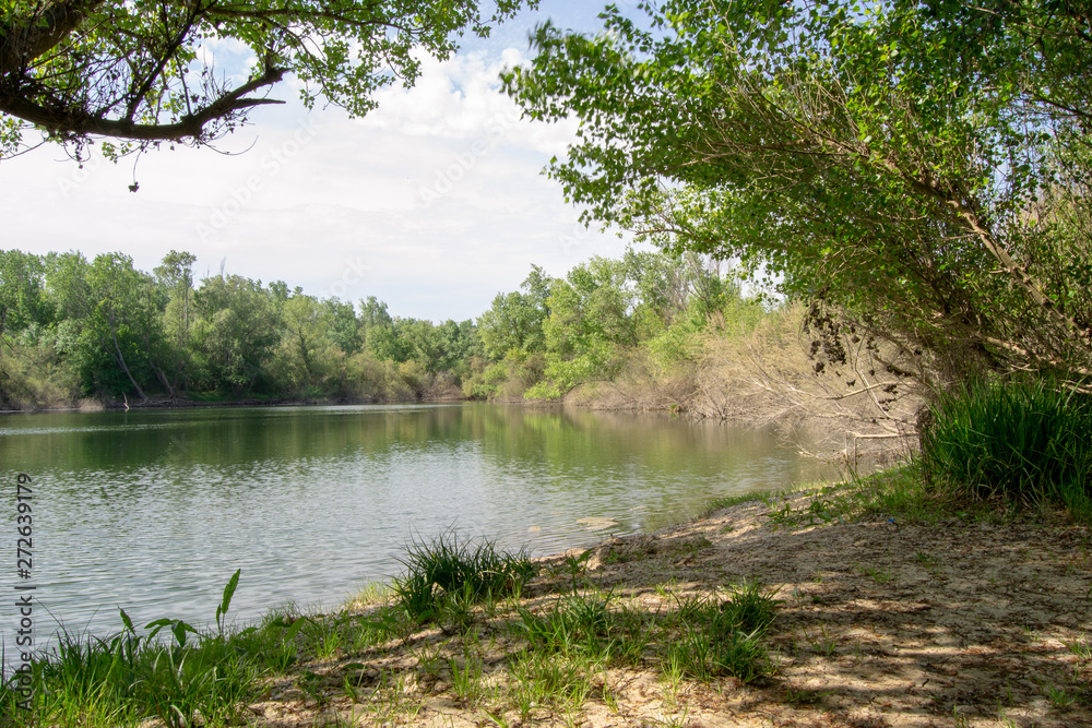 Jusibol Galachos park nice landscape spring Jusibol Galachos park nice landscape spring