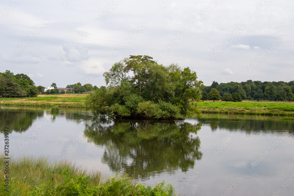 Fototapeta premium Landscape of Richmond park full of nature and wild life
