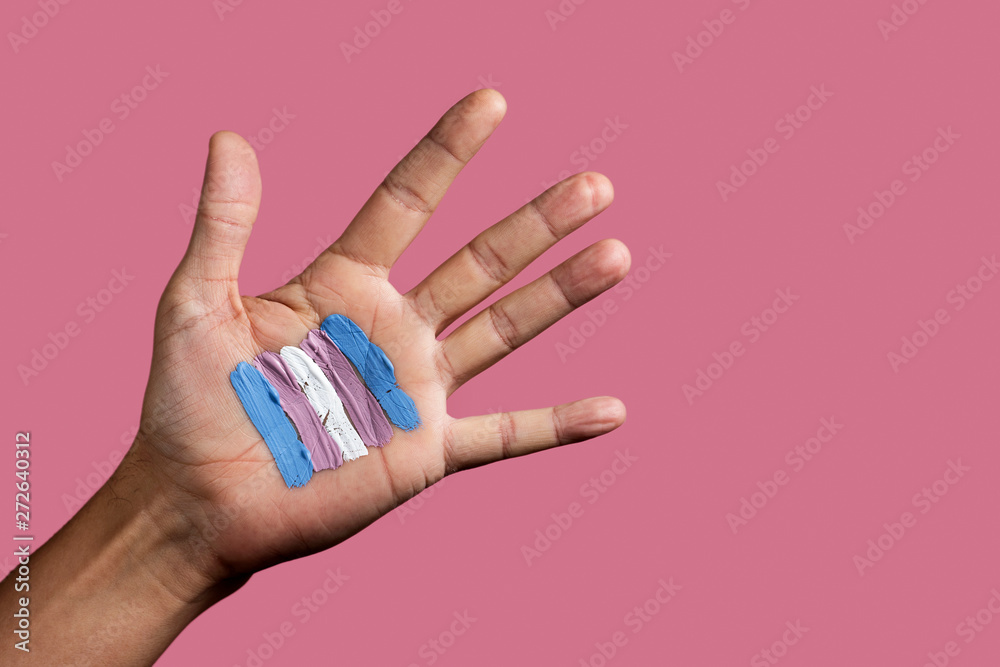 transgender flag in the palm of the hand - obrazy, fototapety, plakaty 