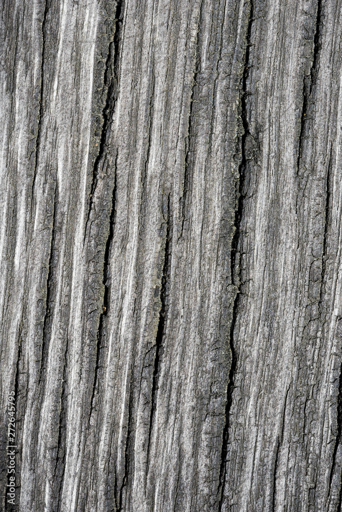 Grunge wood Grunge wood