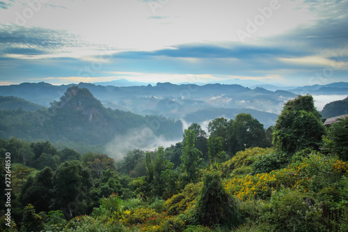 Obraz na plátne Landscape views of mountains and forests,The place is Japo Village