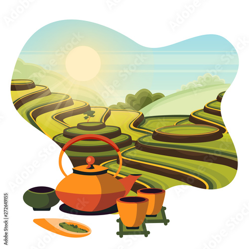China tea green terrace fields plantation. Japanese tea ceremony, vector cartoon illustration.